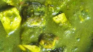 পালং পনির রেসিপি।#youtube #recipe #foryou #Ghosh Family's Rannaghar #food #cooking channel 