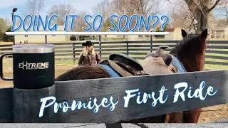 First Ride on a Wild Horse- Extreme Mustang Makeover 2021