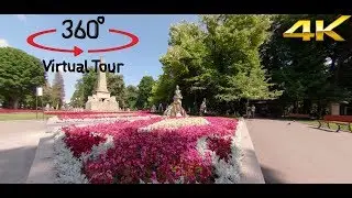 Concept - Eminescu's Linden Tree - Romanian - Iasi - 360&deg; Camera - Video 4K