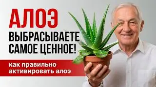 ПОСМОТРИТЕ НА АЛОЭ ПО-НОВОМУ| 3 рецепта, которые реально работают (Личный опыт врача)