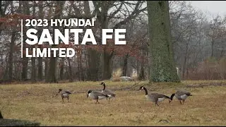 Hyundai Video Campaign | Car News Network | New York | New Jersey | Connecticut