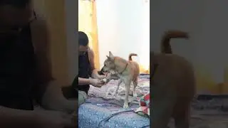 Leo&rsquo;s Reaction Is Priceless