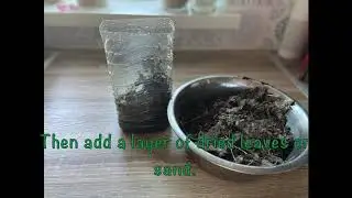Creating a worm hotel to help keep your garden healthy