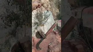 Sickles & Sickle Handler ।। Khurpeto & Hasiya #shorts #shortsvideo #short