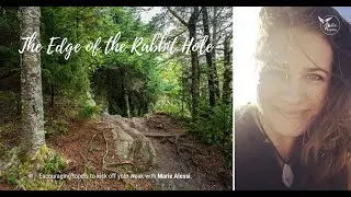 The Edge of the Rabbit Hole
