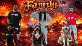 YOU CANT AGRUE WIT DUMMBB!!