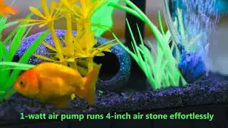 Hygger Mini Aquarium Air Pump Kit Small Fish Tank, for 1-20 Gallon Fish Bowl