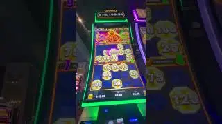 First time getting all 3 bonuses!! #gamble #vegas #bonushunt