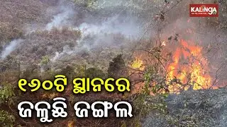 Forest fires burning in 160 spots of Odisha amid heat wave: Reports | Kalinga TV