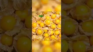 BENEFITS FOR EYES CAPE GOOSEBERRY#msfruityfoodie #mostwatch #viral #trending #highlights #healtyfood