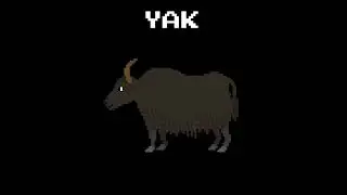 NEW! Yak - @TheKidsPictureShow