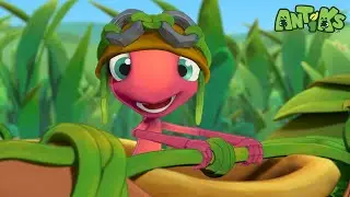 High Flyers + encore | Antiks | Moonbug Kids - Language Learning For Kids