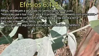 Ef&eacute;sios 6;1-4