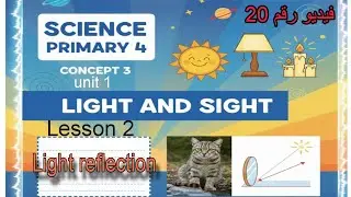 Lesson 2 unit 1 Concept 3 science primary 4 first term 2026 | المعاصر ساينس الصف الرابع