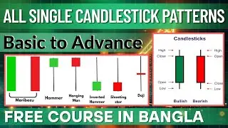 All Single Candlestick Pattern Bangla | Price Action Trading Strategies | All Single Candle Pattern