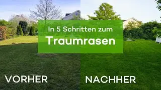 Richtig vertikutieren - In 5 Schritten zum Traumrasen