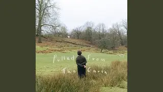 Pulled from the Earth