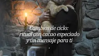 Receta de Chocolate Antiinflamatorio y Reflexiones sobre Abundancia entre Pr&iacute;mulas Acaulis