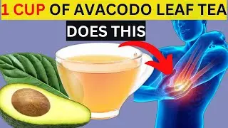 Powerful Benefits of Avocado Leaf Tea