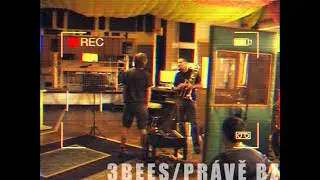 Pr&aacute;vě bzuč&iacute; v 3bees studiu - Neděln&iacute; lid&eacute;