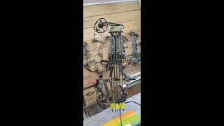 Mathews VXR 31.5