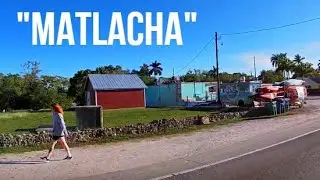 MATLACHA - Island Life