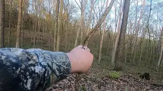 Opening Day of Indiana Turkey Season 2022 - Hunting Public Land!