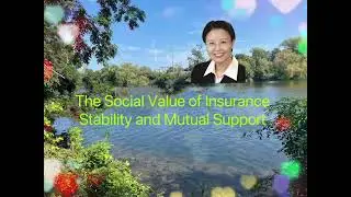 The social value of insurance: Stability and Mutual Support