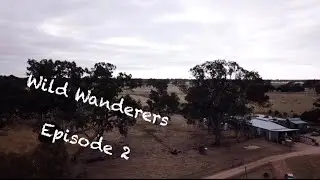 Coonawarra to Kingston SE  South Australia   Wild Wanderers Explore~Travel~Wander