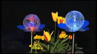 Home2Garden - Solar Flower Crackle, UK Garden