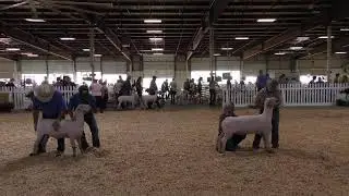 2022 - September 18 - Northeast Regional Southdown Show