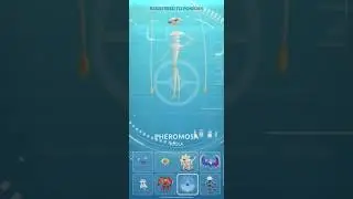 0795 費洛美螂Pheromosa 251104