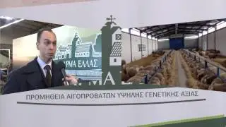 ΦΑΡΜΑ ΕΛΛΑΣ