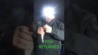 Fish returned. #codfishing #fishing #fish #codfish