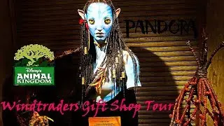 Disney's Pandora at night and Windtrader's gift shop tour 8/17/2017