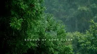 Gentle rain in park #insomnia #relaxingsounds #rainsounds  #insomniarain @SoundsOfGoodSleep