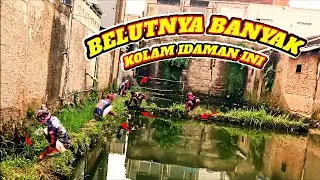 BANYAK BELUTNYA KOLAM IDAMAN INI MANCING BELUT PASTI BETAH STREK BERTUBI-TUBI