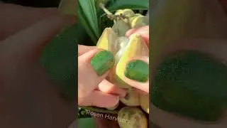 Lanzones fruit #sweet #yummy #fruit #amsr #shortvideo #lanzones