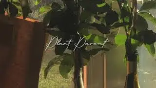 plant parent, subliminal