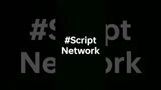 #scriptnetwork