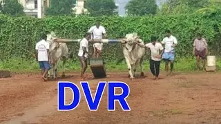 Veera ,Giri Beta clips... DVR Memorial Bull's Kanuru Vijayawada....