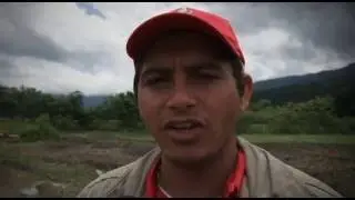 Plan Siembra Comunal 2016, Financiamiento de la Eps Montesacro, Chirgua, Edo. Carabobo.