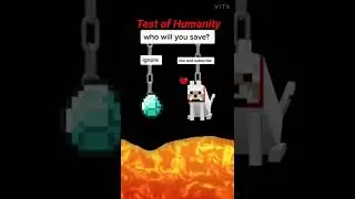 who will you save #minecraft #minecraftshorts #whowillyousave #mrbeast#shorts#gaming #amv#chapati