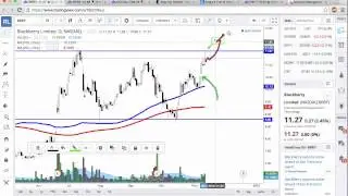 Real Life stock review #1