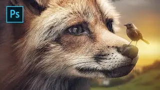 The Fox & Bird Manipulation in Photoshop Tutorial