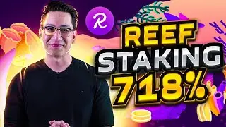 This is the most profitable REEF coin STAKING ever 🚀 stake REEF crypto