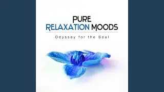 Wellness Music