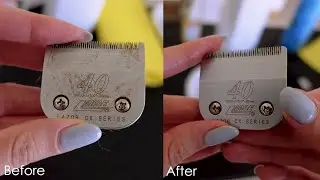 How to clean your clipper blades - 5 easy steps