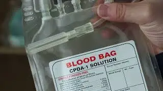 Medical Consumable Disposable&nbsp;Blood&nbsp;Collection&nbsp;Bag&nbsp;Single&nbsp;Blood&nbsp;Bags&nbsp;Cpda-1