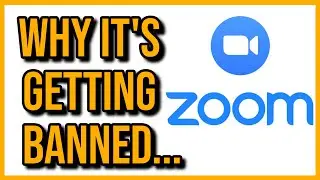 The Zoom App Is Getting Banned...